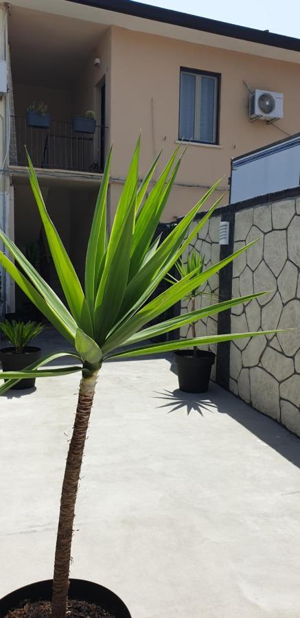Th Luxury Fly Hotel CTA Exterior foto